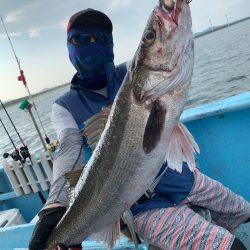みやけ丸 釣果