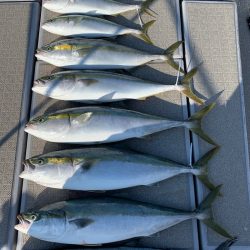 SeaRide(シーライド) 釣果