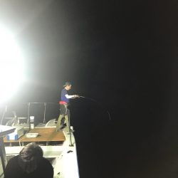 和丸(京都) 釣果