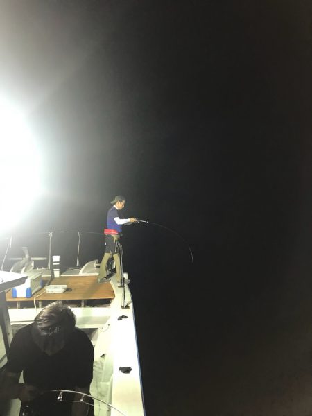 和丸(京都) 釣果