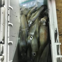 和丸(京都) 釣果