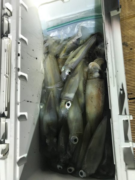 和丸(京都) 釣果