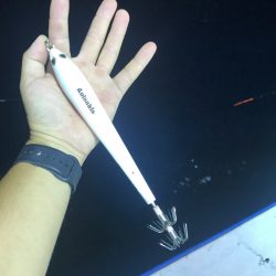 和丸(京都) 釣果