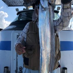 フィッシング キッタカ 釣果