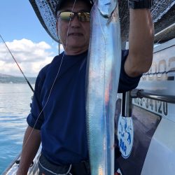 フィッシング キッタカ 釣果