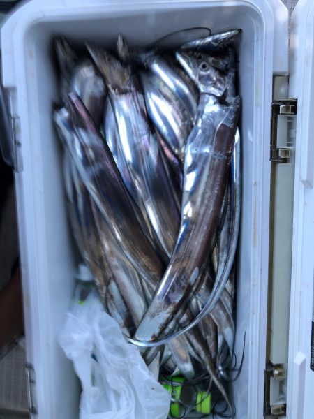 フィッシング キッタカ 釣果