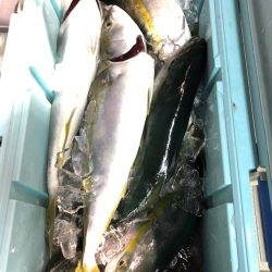 第二八坂丸 釣果