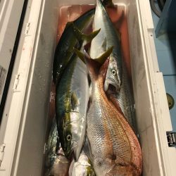 第二八坂丸 釣果