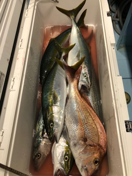 第二八坂丸 釣果