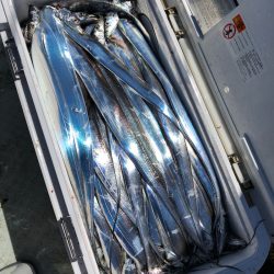 フィッシング キッタカ 釣果