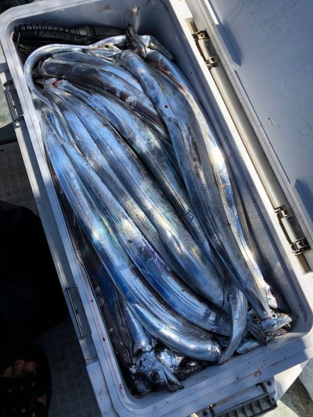 フィッシング キッタカ 釣果