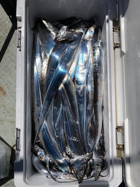 フィッシング キッタカ 釣果