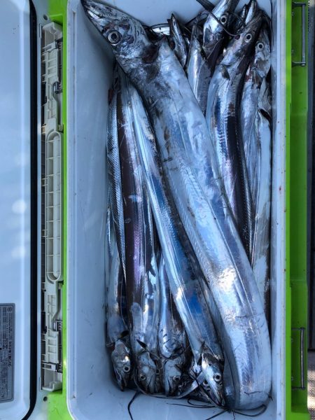 フィッシング キッタカ 釣果