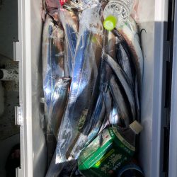 フィッシング キッタカ 釣果