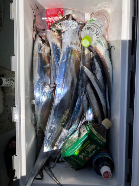 フィッシング キッタカ 釣果