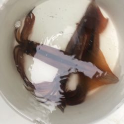 第二 つれたか丸 釣果