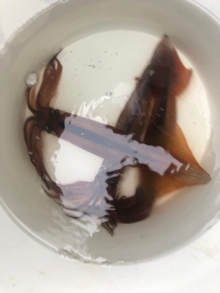 第二　つれたか丸 釣果