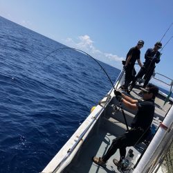 ＴＡＲＯＭＡＲＵ 釣果