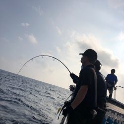 ＴＡＲＯＭＡＲＵ 釣果