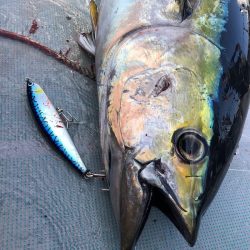 ＴＡＲＯＭＡＲＵ 釣果