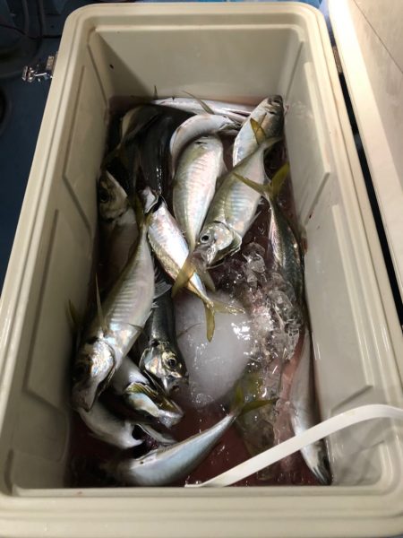 第二八坂丸 釣果