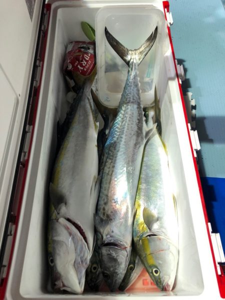 第二八坂丸 釣果