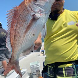 ランスルー 釣果