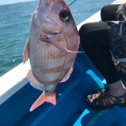 太平丸 釣果