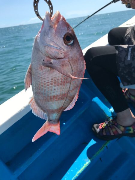 太平丸 釣果