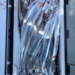 フィッシング キッタカ 釣果