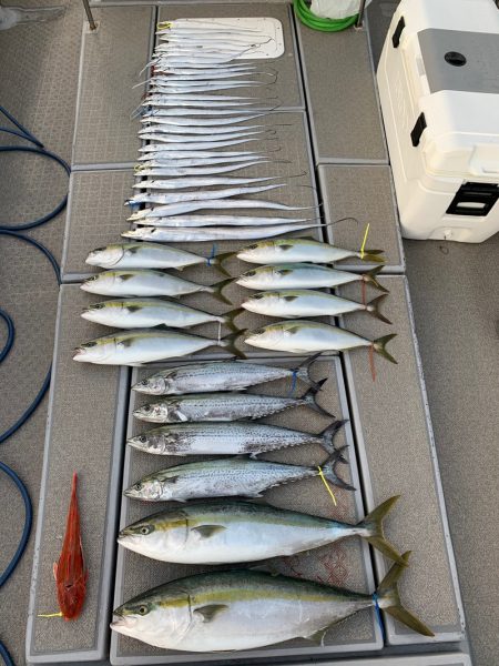 SeaRide(シーライド) 釣果