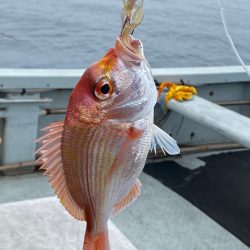 あみや渡船 JIGBOY 釣果