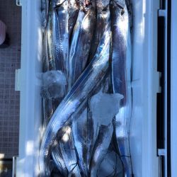 フィッシング キッタカ 釣果