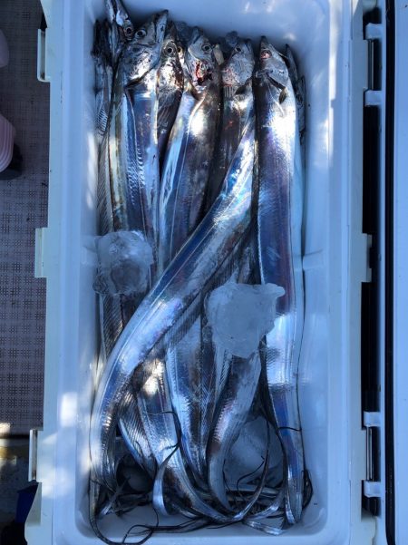 フィッシング キッタカ 釣果