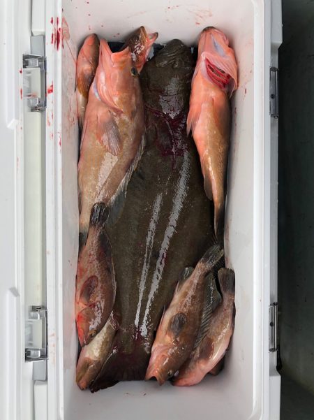 フィッシング　キッタカ 釣果