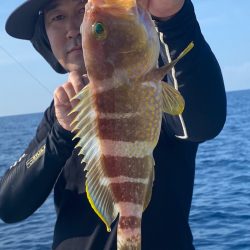 あみや渡船 JIGBOY 釣果