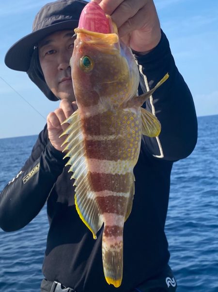 あみや渡船 JIGBOY 釣果