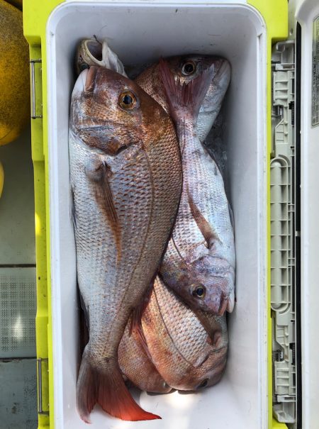 フィッシング キッタカ 釣果