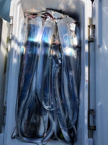 フィッシング　キッタカ 釣果