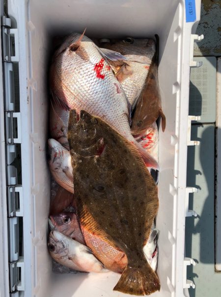 フィッシング キッタカ 釣果