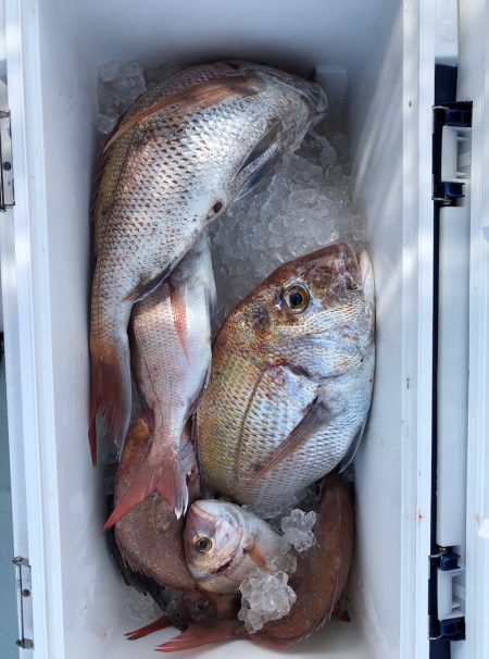 フィッシング キッタカ 釣果