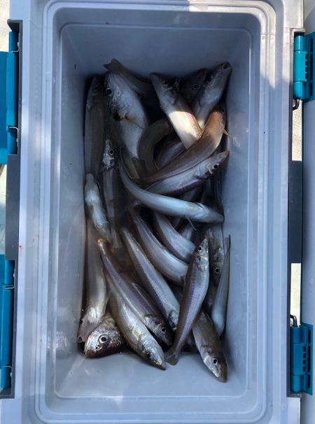 フィッシング　キッタカ 釣果