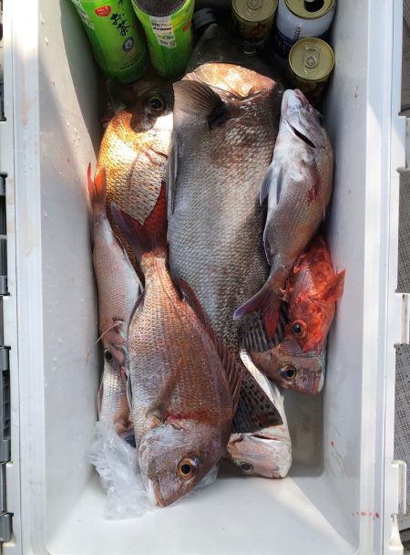 フィッシング　キッタカ 釣果