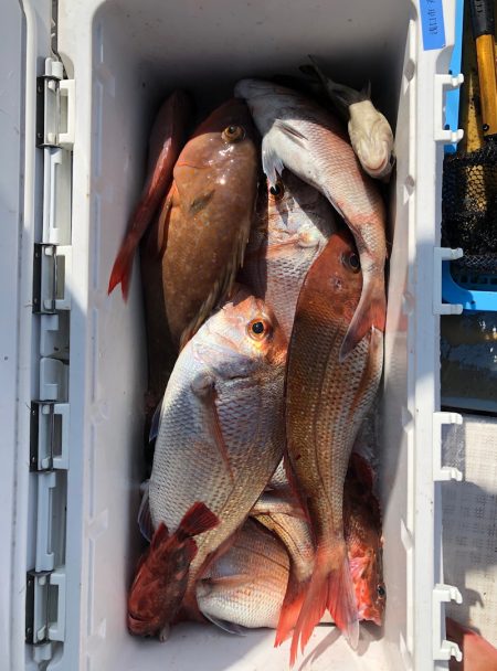 フィッシング キッタカ 釣果