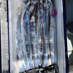 フィッシング キッタカ 釣果