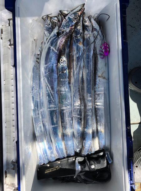 フィッシング キッタカ 釣果