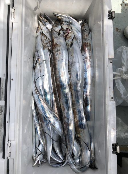 フィッシング キッタカ 釣果