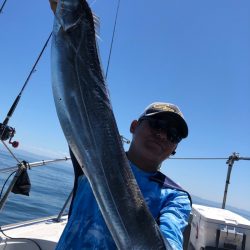 フィッシング キッタカ 釣果