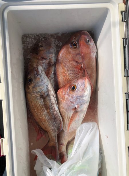 フィッシング　キッタカ 釣果