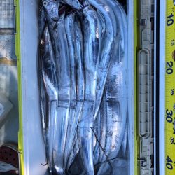 フィッシング キッタカ 釣果